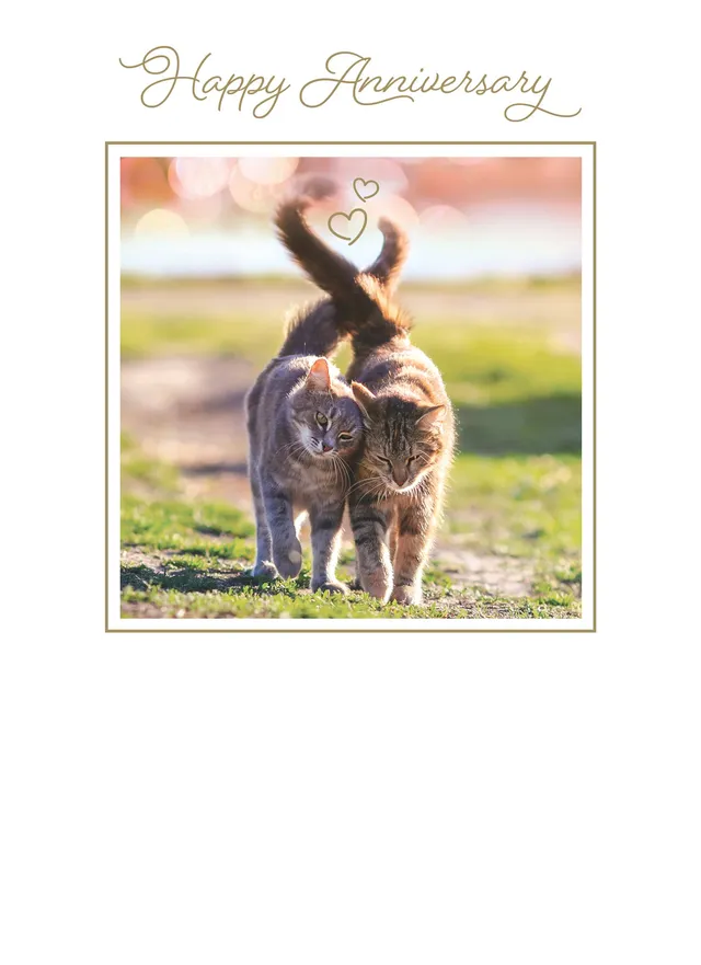otter-house-anniversary-card-jahrestagskarte-katzen image 1