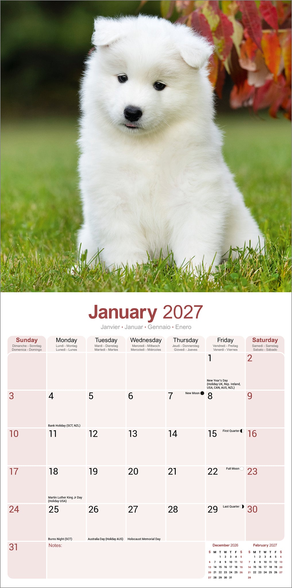 otter-house-samoyed-wandkalender-2027-hunde-motiv image 3