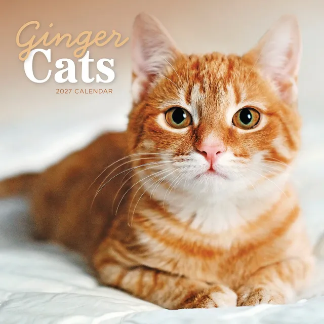 otter-house-ginger-cats-wandkalender-2027-katzen-kalender image 1