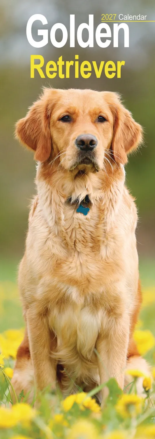 otter-house-golden-retriever-slim-kalender-2027-hunde-liste image 1