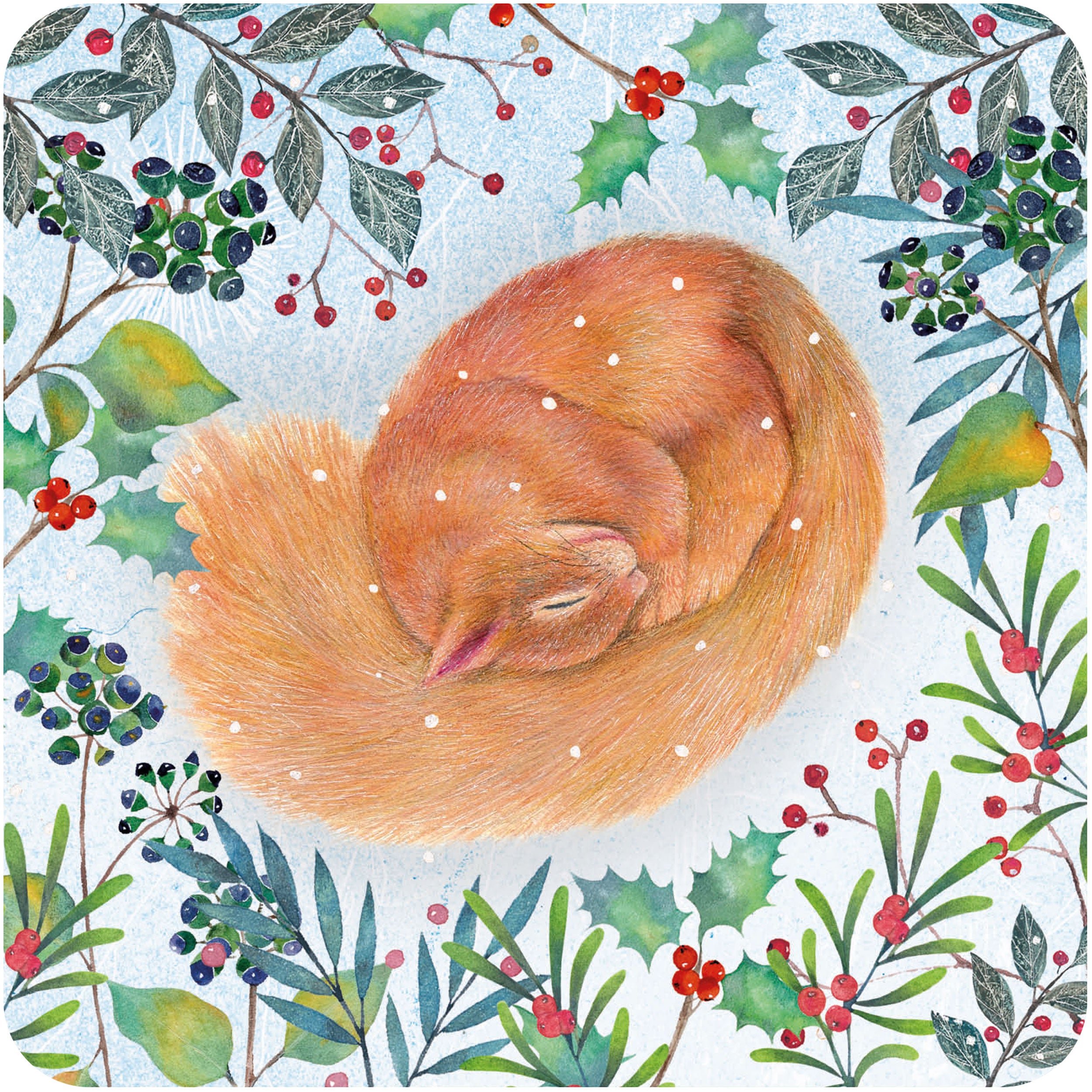 otter-house-rspb-weihnachtskarte-fuchs-eichh-rnchen-10er image 2