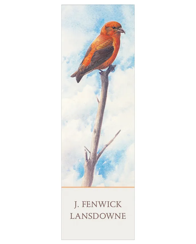 pomegranate-red-crossbill-lesezeichen-lansdowne-vogel image 1