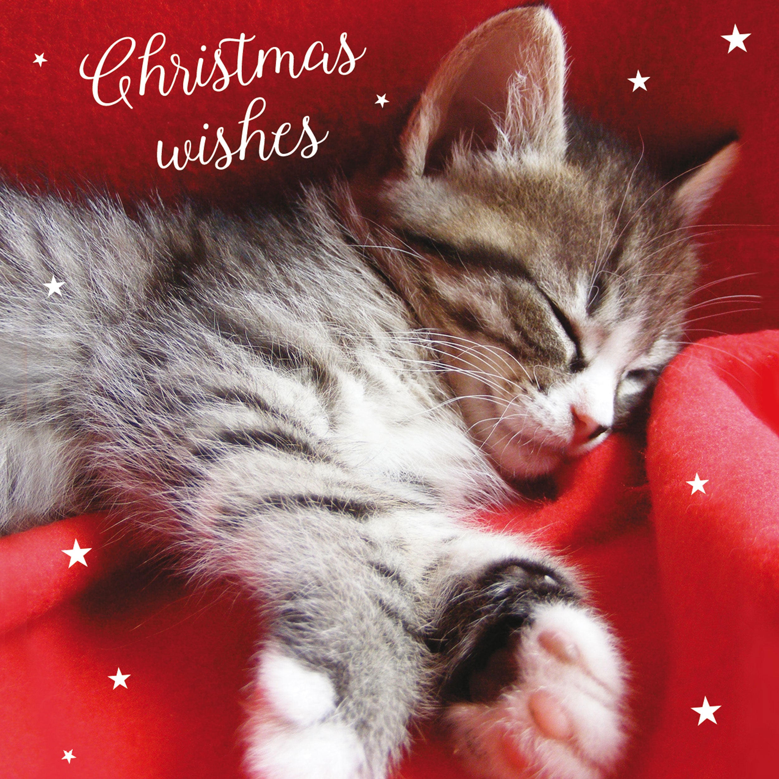 otter-house-christmas-weihnachtskarten-cosy-kittens-katzen-set image 1