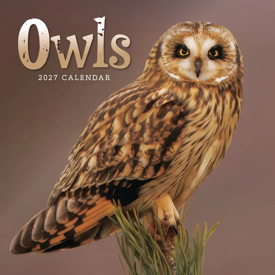 otter-house-owls-mini-kalender-2027-eulen-v-gel image 1