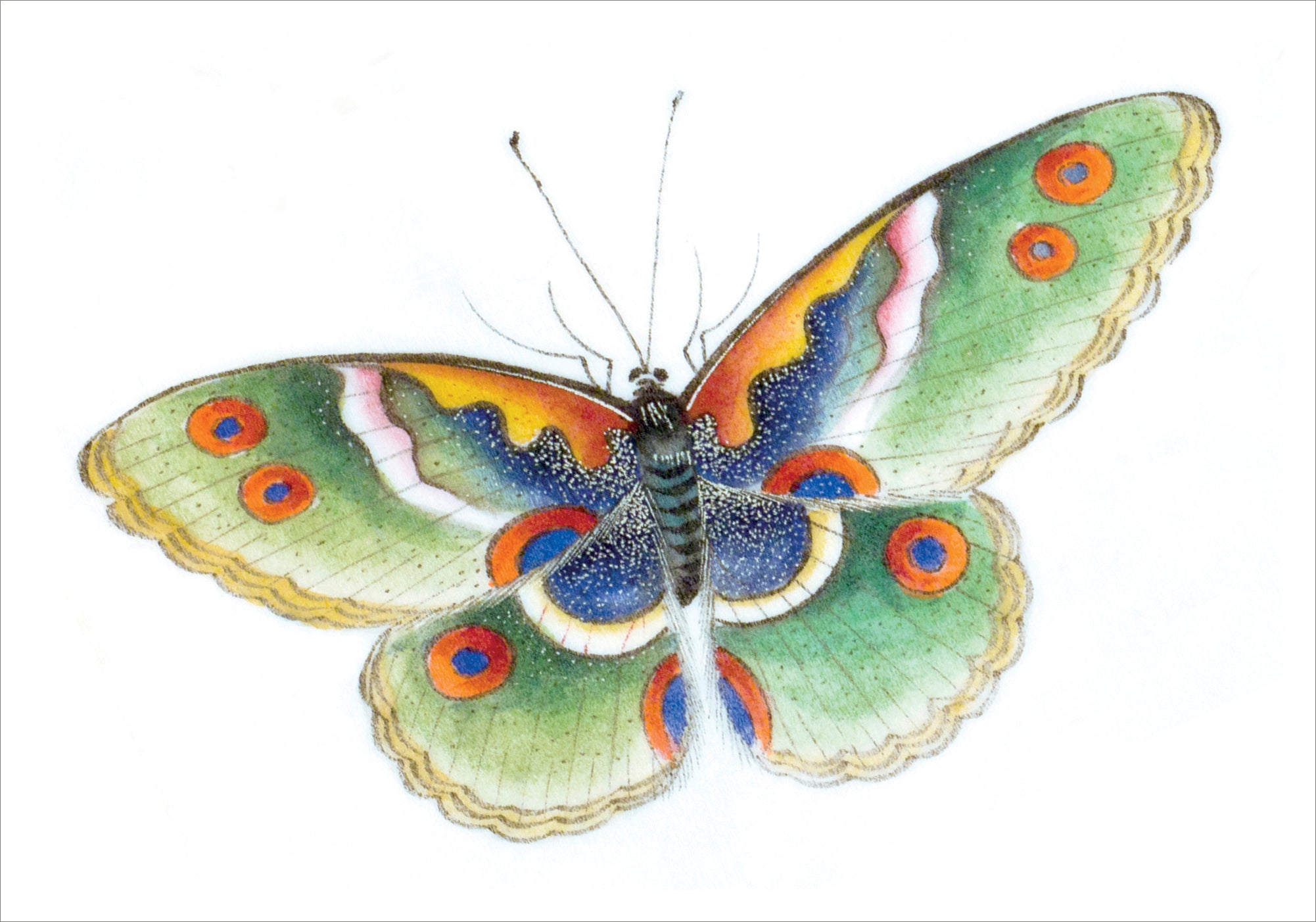 pomegranate-boxed-notecards-butterfly-schmetterling-karten-klein image 2