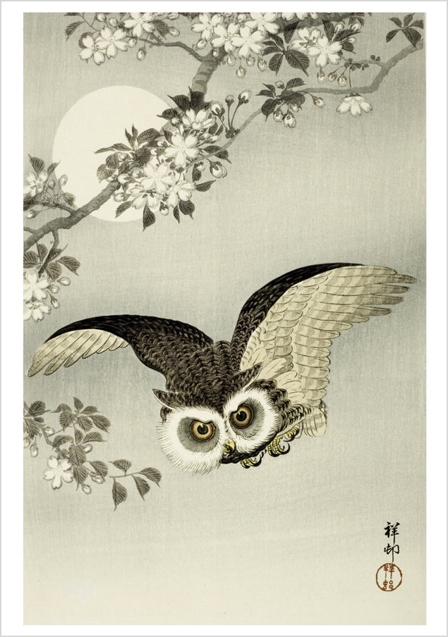 pomegranate-ohara-koson-eule-klappkarte-blanko image 1