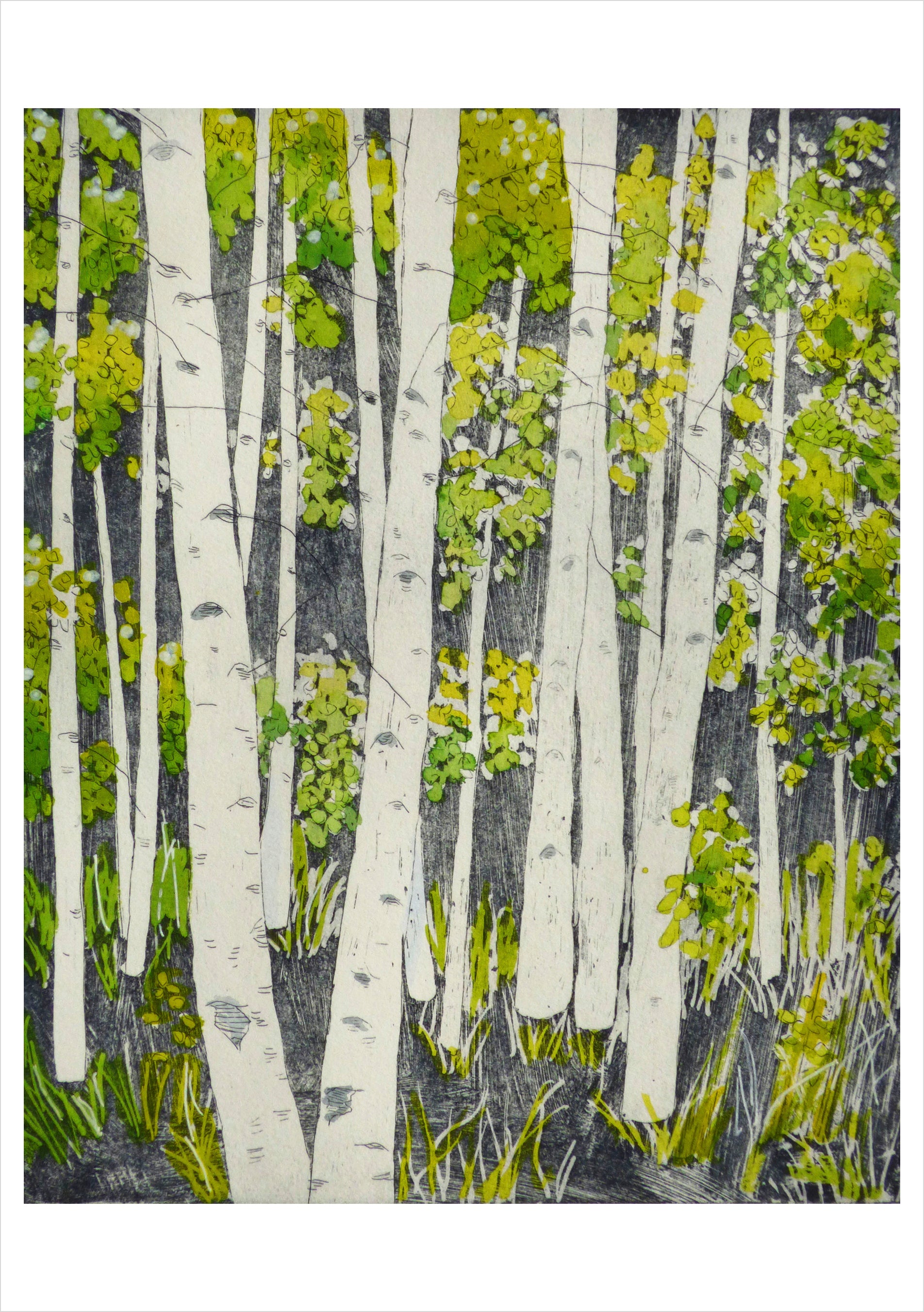 pomegranate-blank-notecards-aspens-springtime-klappkarte-landschaft image 1