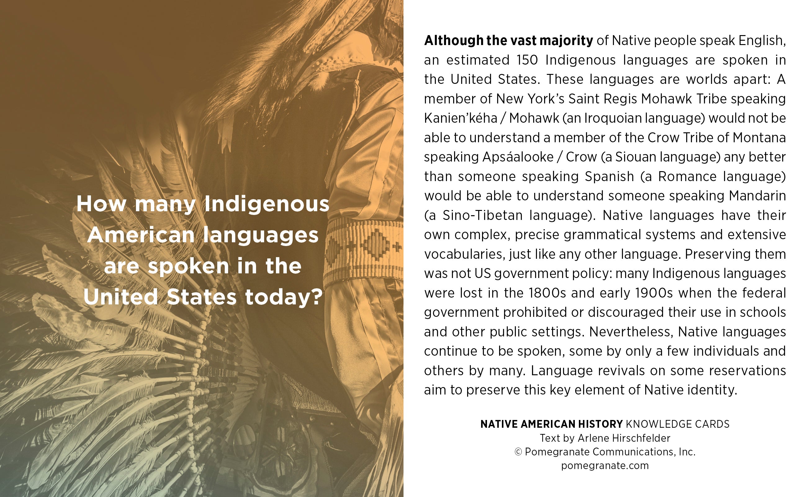 pomegranate-knowledge-cards-native-american-history-quizkarten-48 image 4