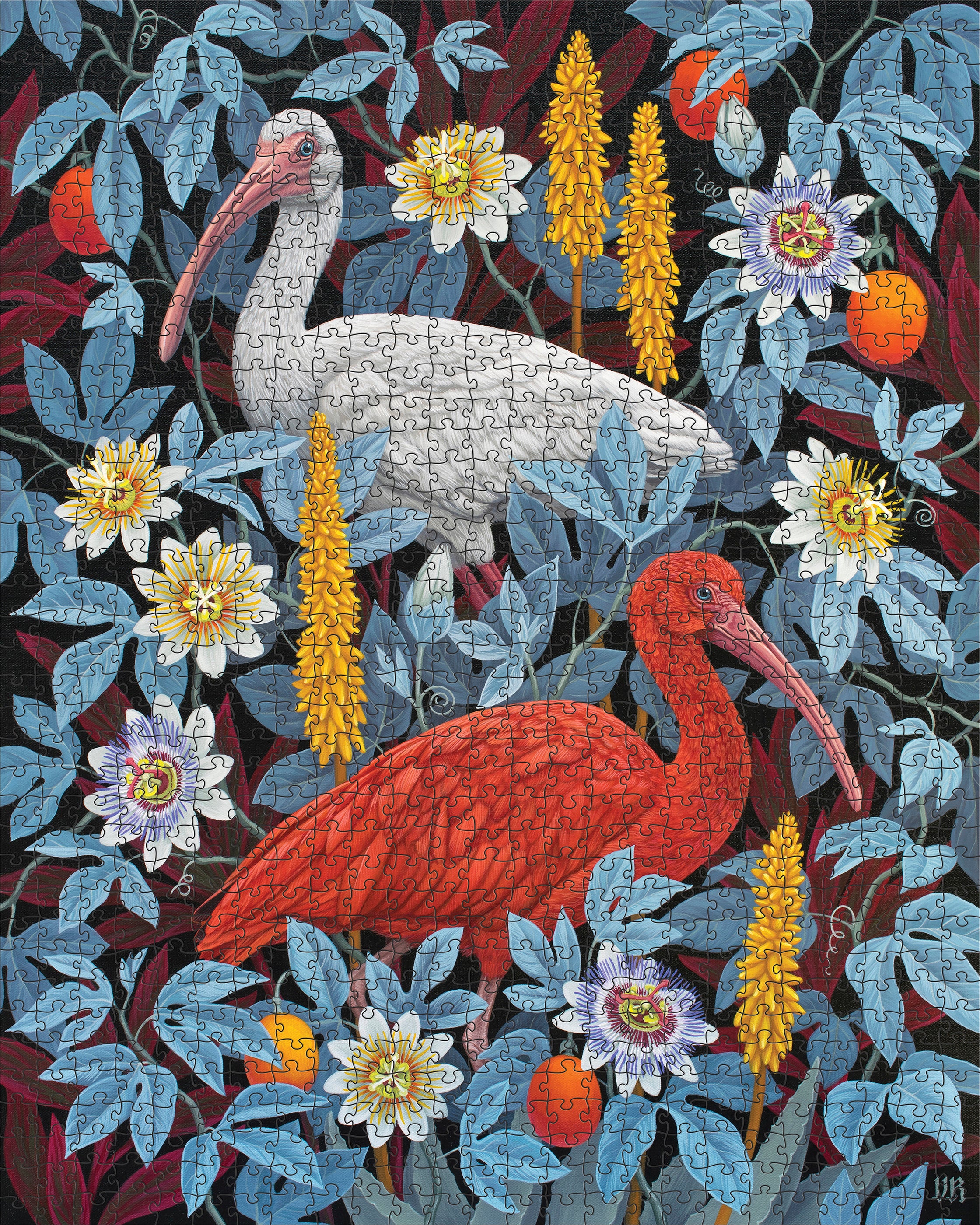 pomegranate-romanenko-ibises-puzzle-1000-teile-v-gel image 2
