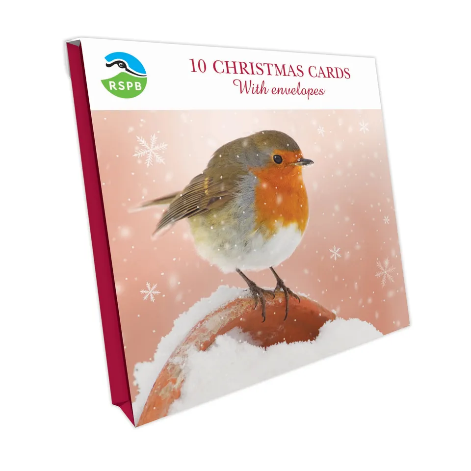 otter-house-christmas-robin-weihnachtskarten-10er-pack-rotkehlchen image 1