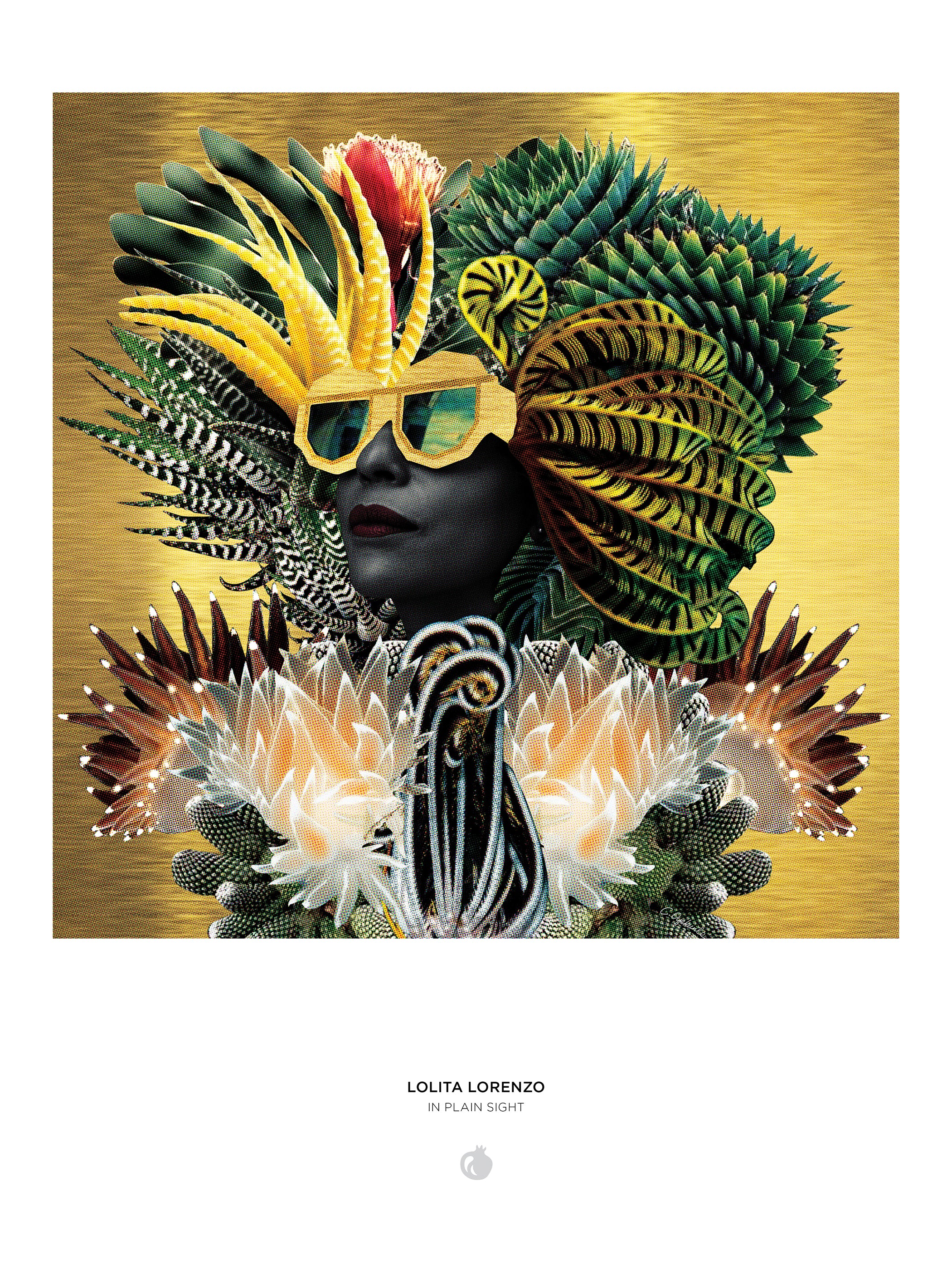 pomegranate-lorenzo-in-plain-sight-puzzle-1000-teile-collage image 3