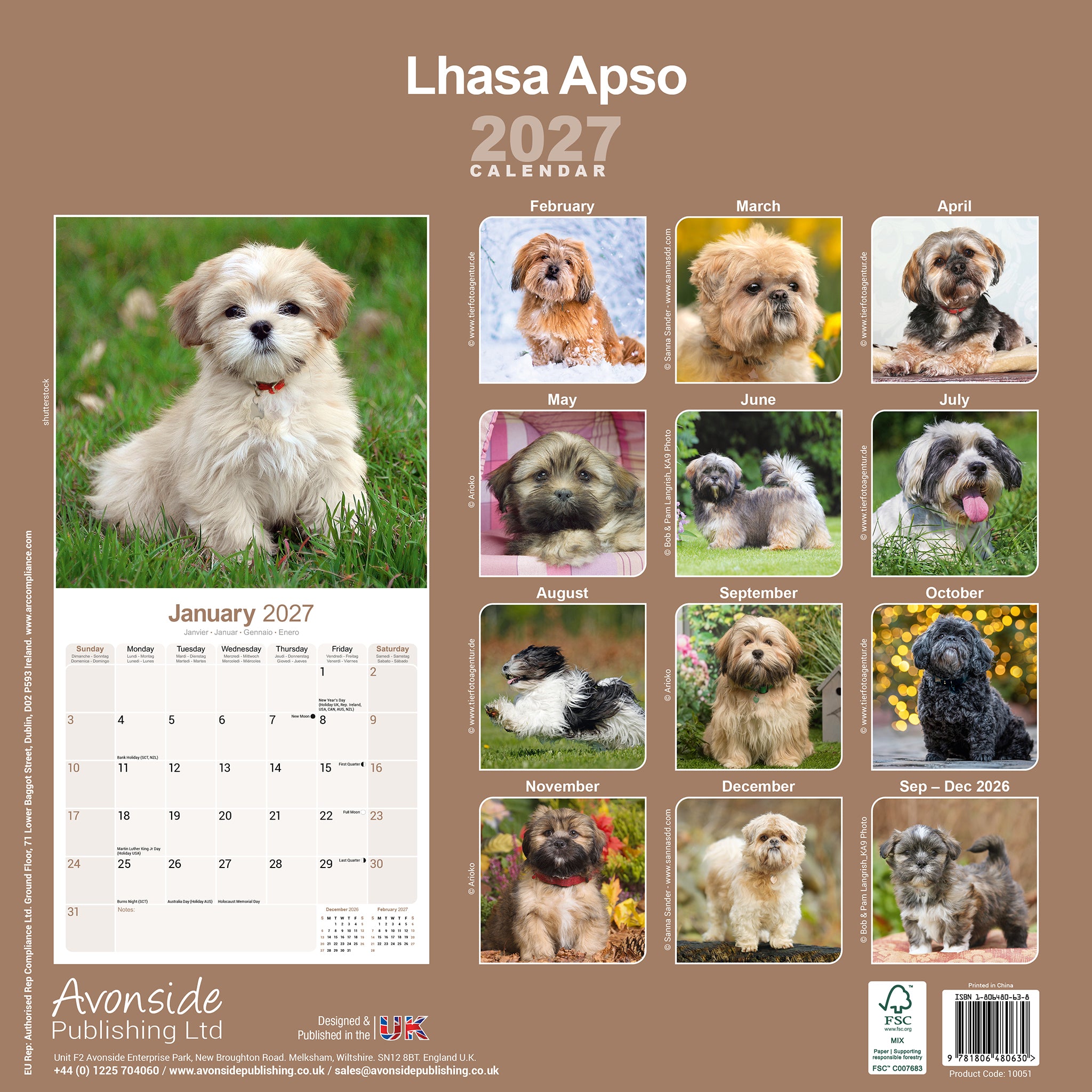 otter-house-lhasa-apso-wandkalender-2027-hunde image 2