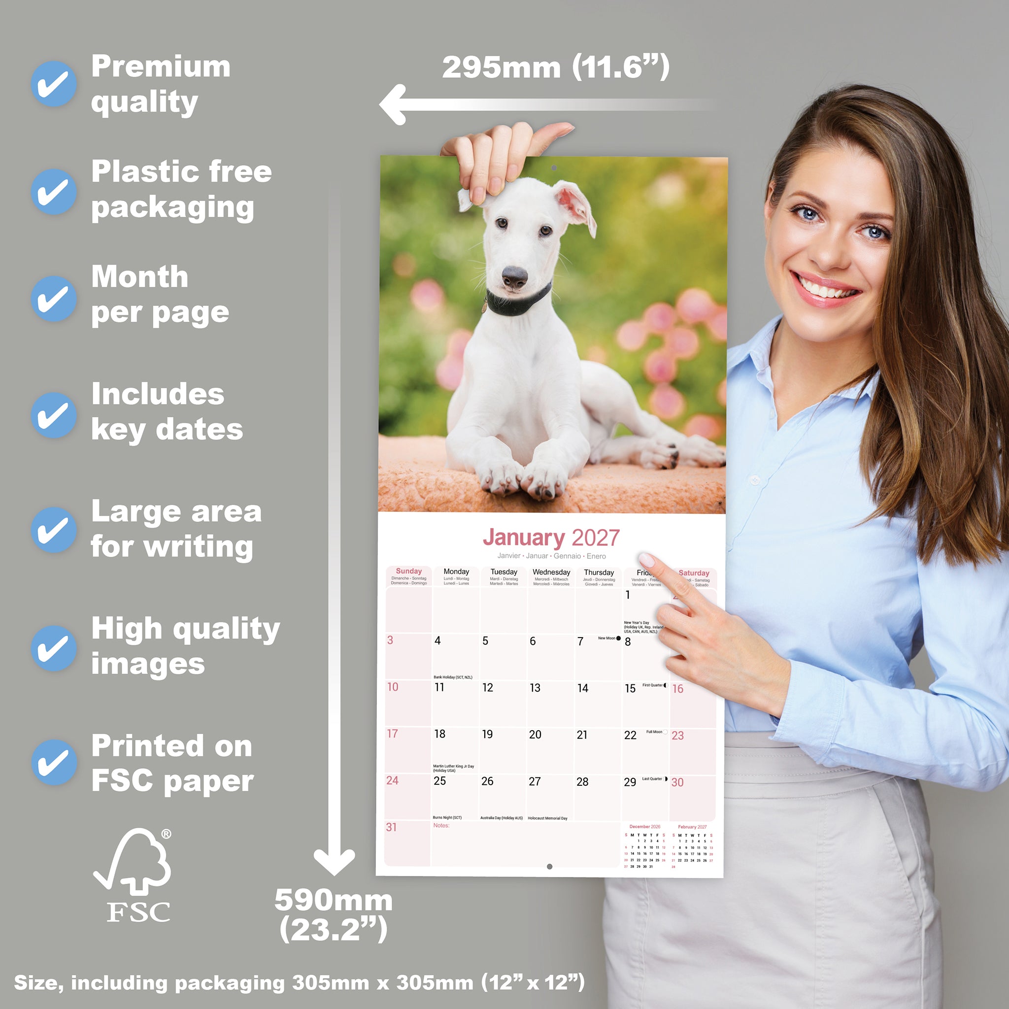 otter-house-greyhound-wandkalender-2027-hunde-kalender image 4