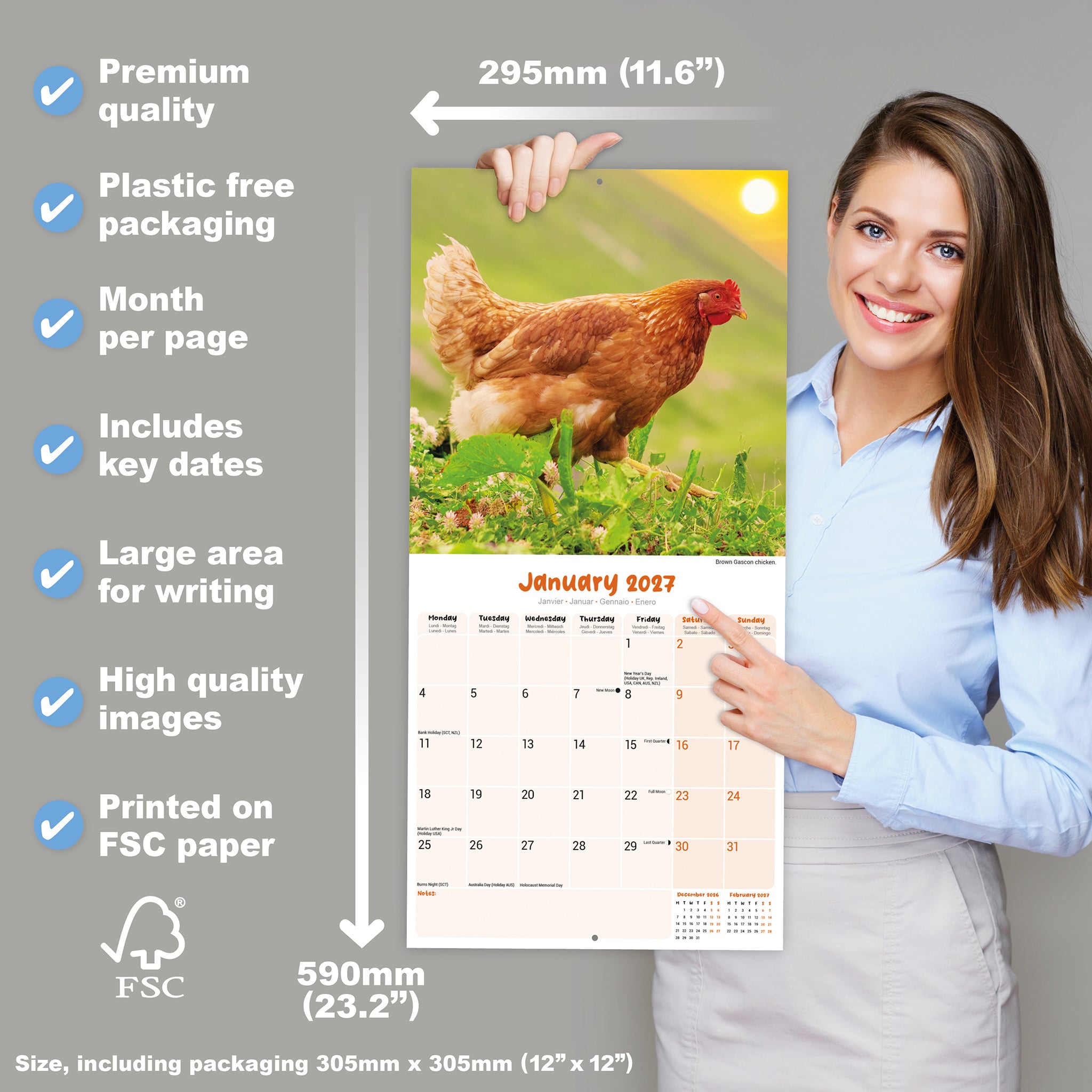 otter-house-chickens-wandkalender-2027-h-hner image 4