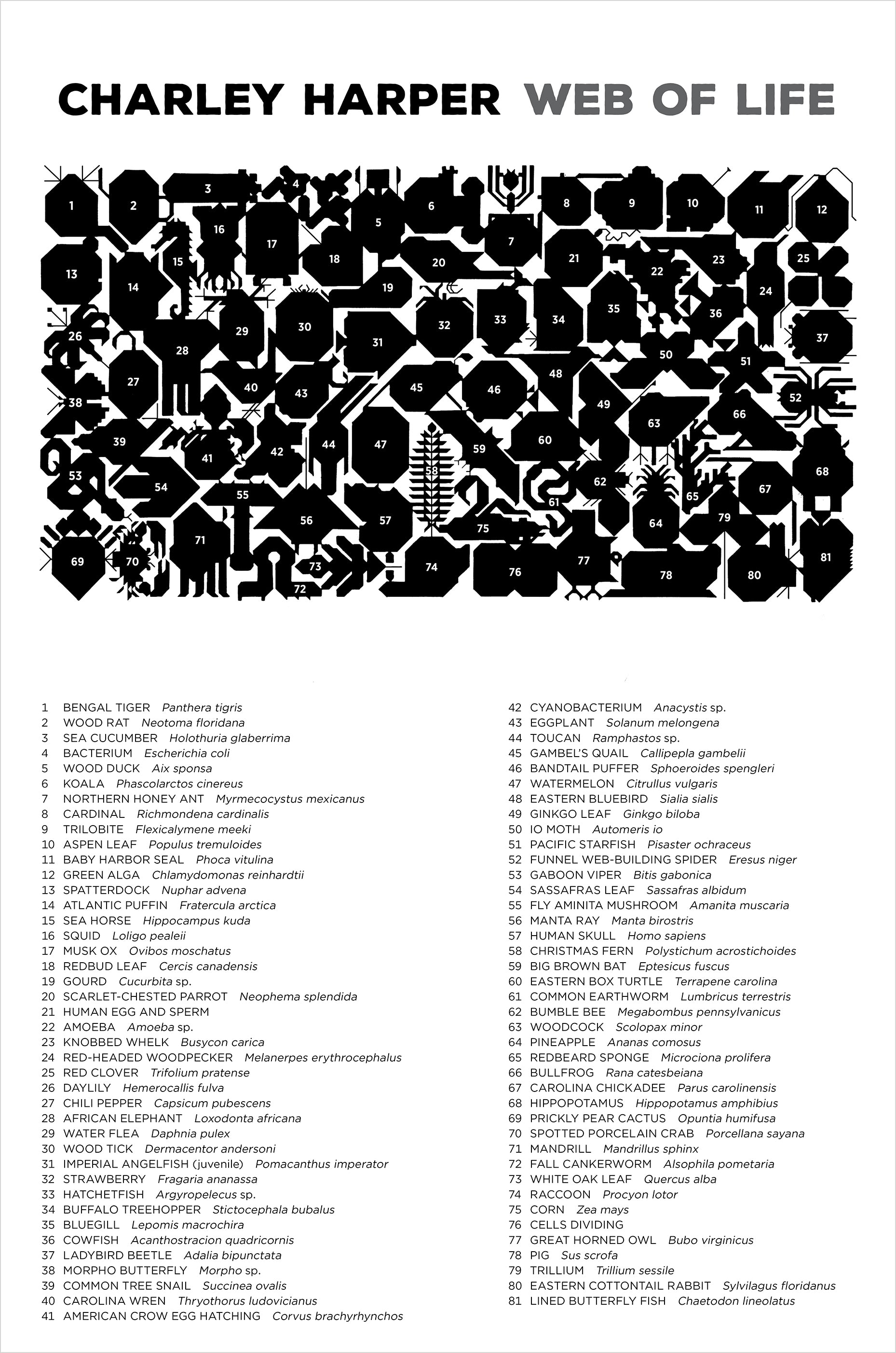 pomegranate-charley-harper-web-of-life-puzzle-2000-teile-tiere image 3