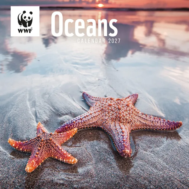 otter-house-oceans-wwf-wandkalender-2027-meer image 1