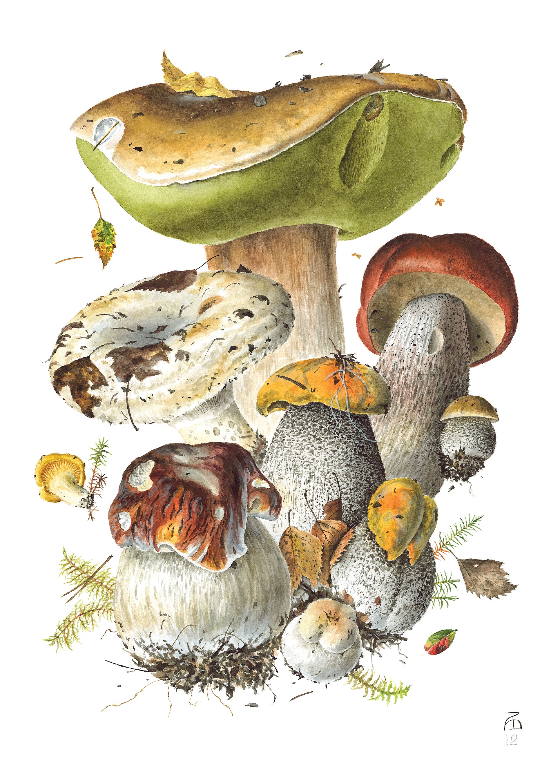 pomegranate-mushrooms-viazmensky-kartenbox-20-klappkarten image 5