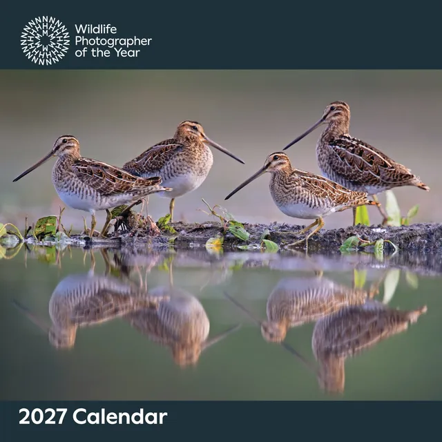 otter-house-wildlife-photographer-wandkalender-2027-tiere image 1