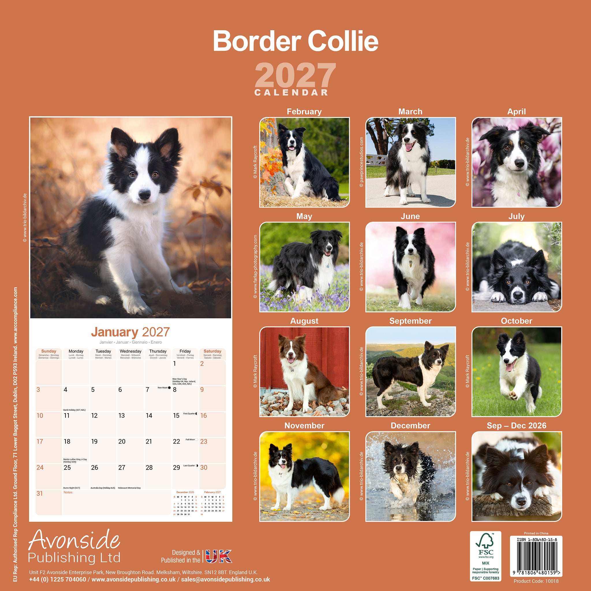 otter-house-border-collie-wandkalender-2027-hunde image 2