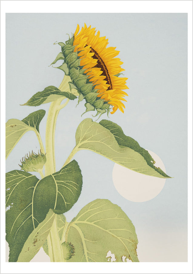 pomegranate-kate-krasin-sunflower-grusskarte-blume image 1