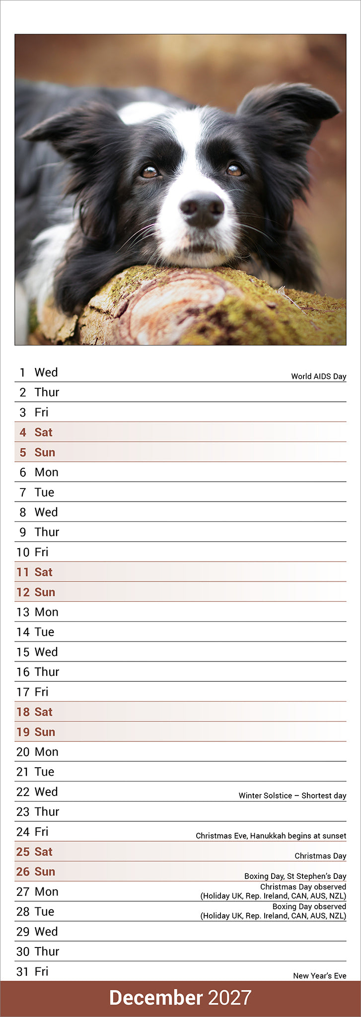 otter-house-border-collie-slim-calendar-2027-hundekalender image 3