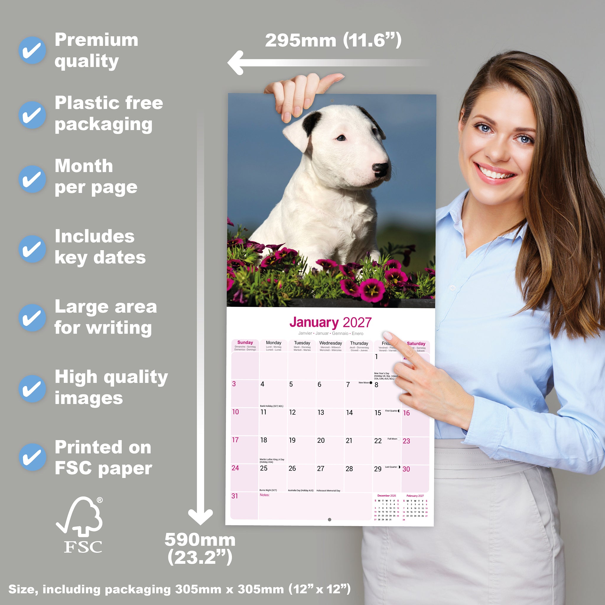 otter-house-bull-terrier-wandkalender-2027-hunde image 4