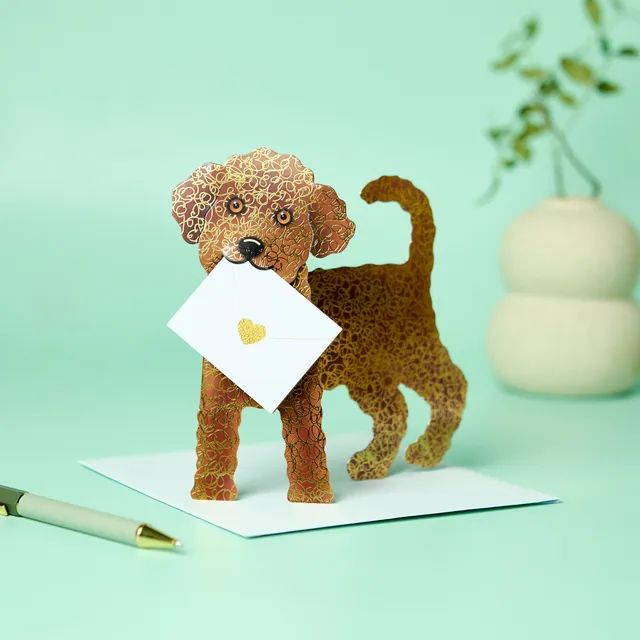 otter-house-special-delivery-gru-karte-hund-coco-3d image 1