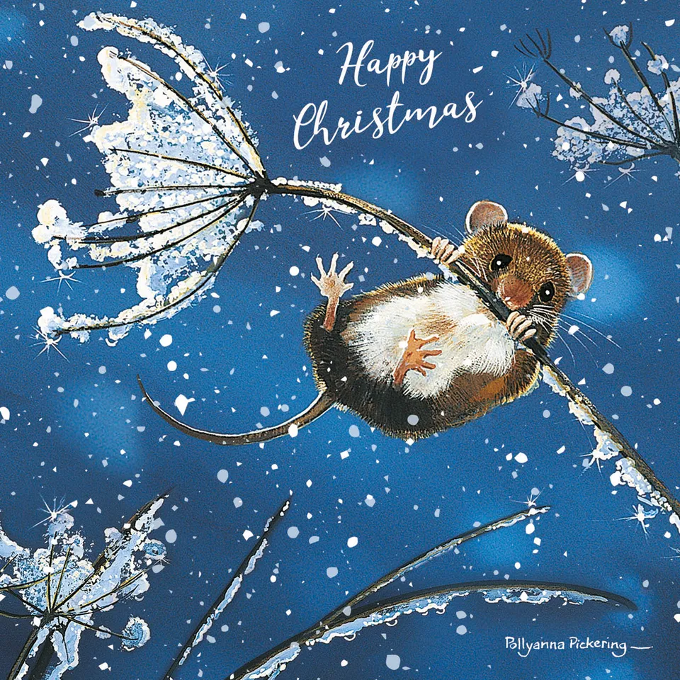 otter-house-rspb-weihnachtskarten-10er-cow-parsley-mouse image 1
