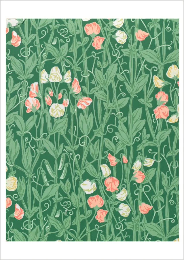 pomegranate-birthday-cards-william-morris-sweetpea-pattern-geburtstagskarte image 1