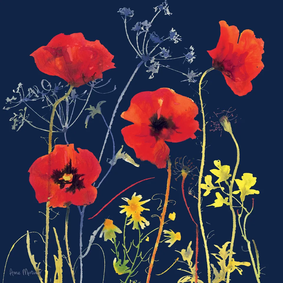 otter-house-greetings-cards-watercolour-poppies-gru-karte-mohn image 1