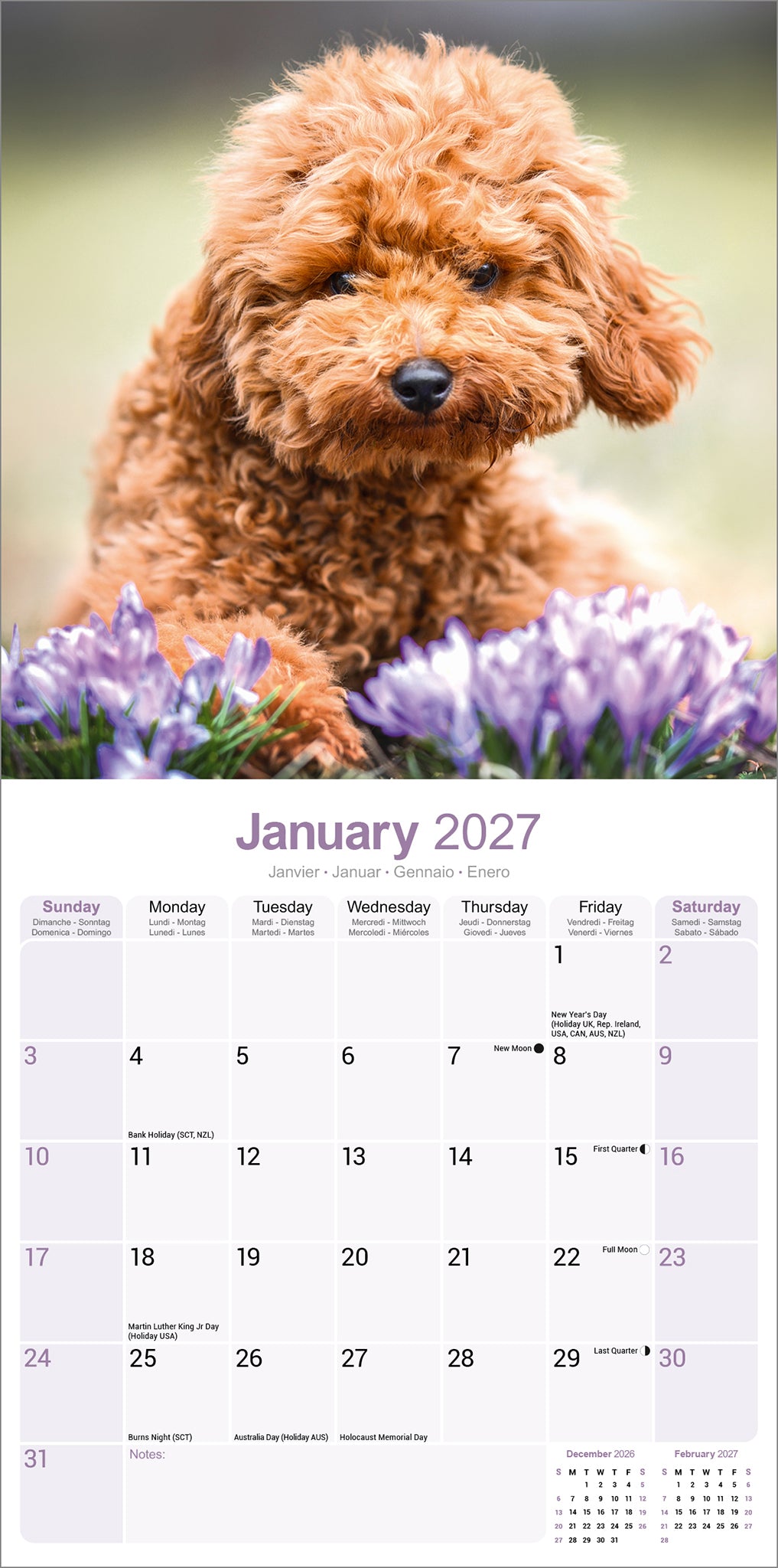 otter-house-poodles-wandkalender-2027-pudel image 3