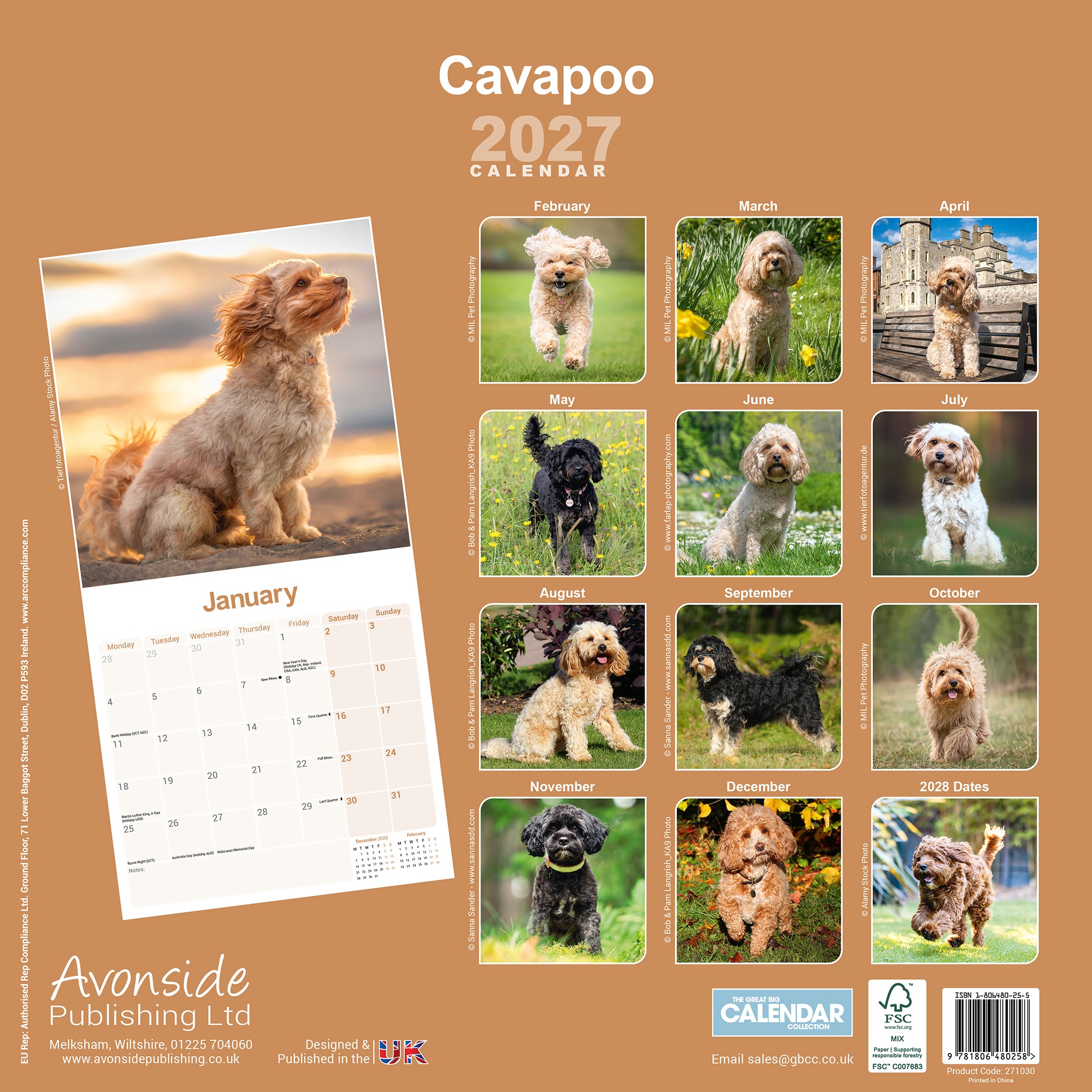 otter-house-cavapoo-wandkalender-2027-hunde image 2
