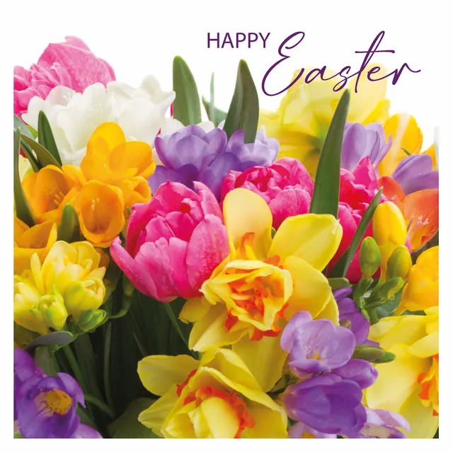 otter-house-easter-brights-osterkarten-set-blumen image 1