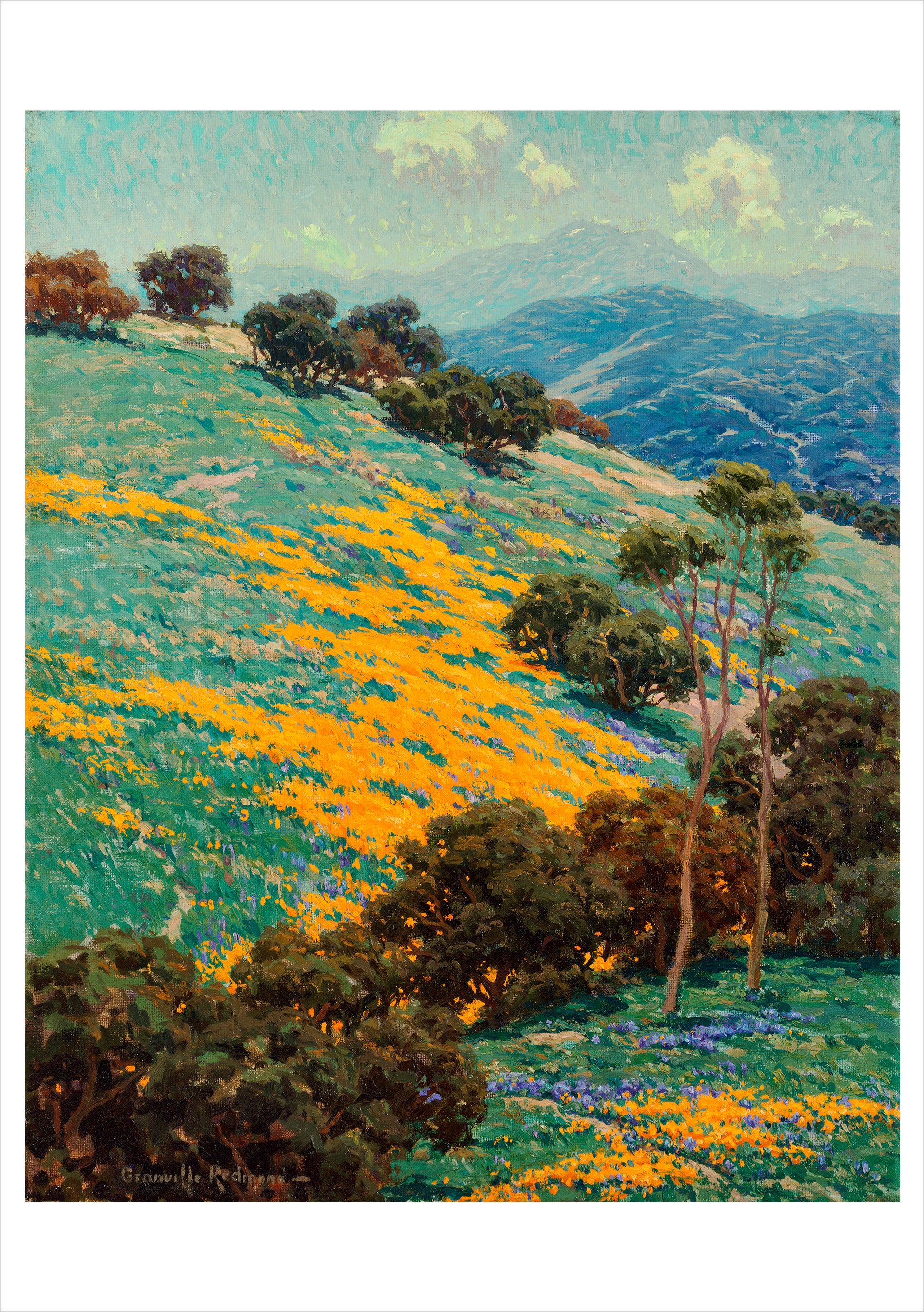 pomegranate-redmond-wild-poppies-gru-kartenset-20-karten-landschaft image 4