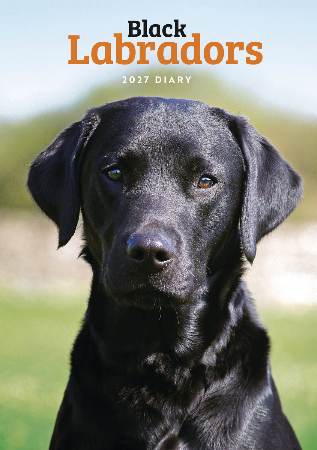labrador-retrievers-black-a5-diary-terminkalender-2027 image 1