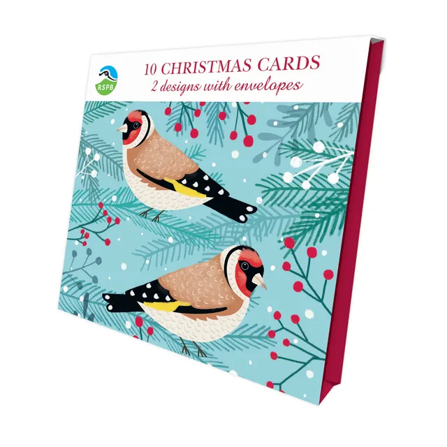 otter-house-birds-berries-rspb-weihnachtskarten-10er-pack image 1