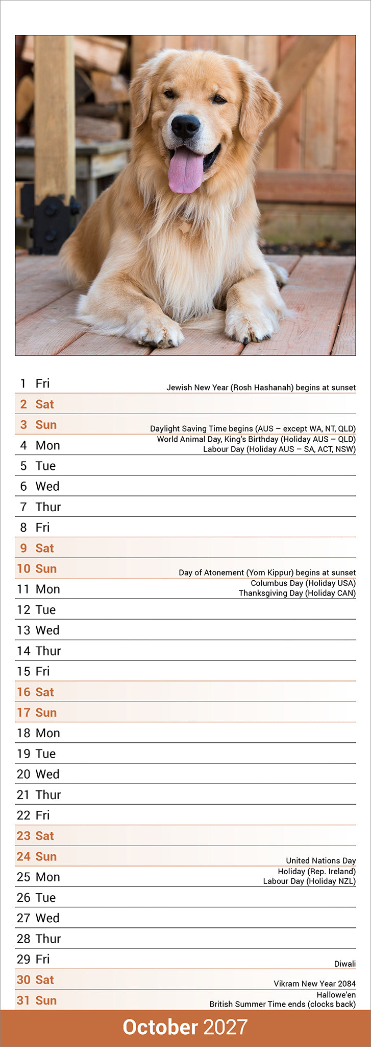 otter-house-golden-retriever-slim-kalender-2027-hunde-liste image 3