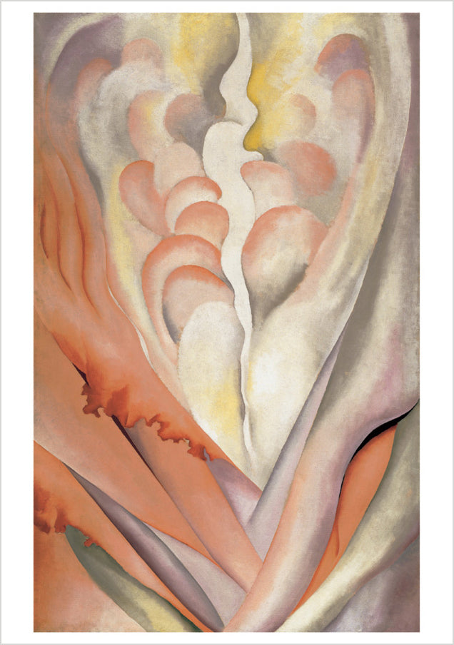 pomegranate-boxed-notecards-o-keeffe-abstract-flowers-gru-karten-20-karten-set image 4