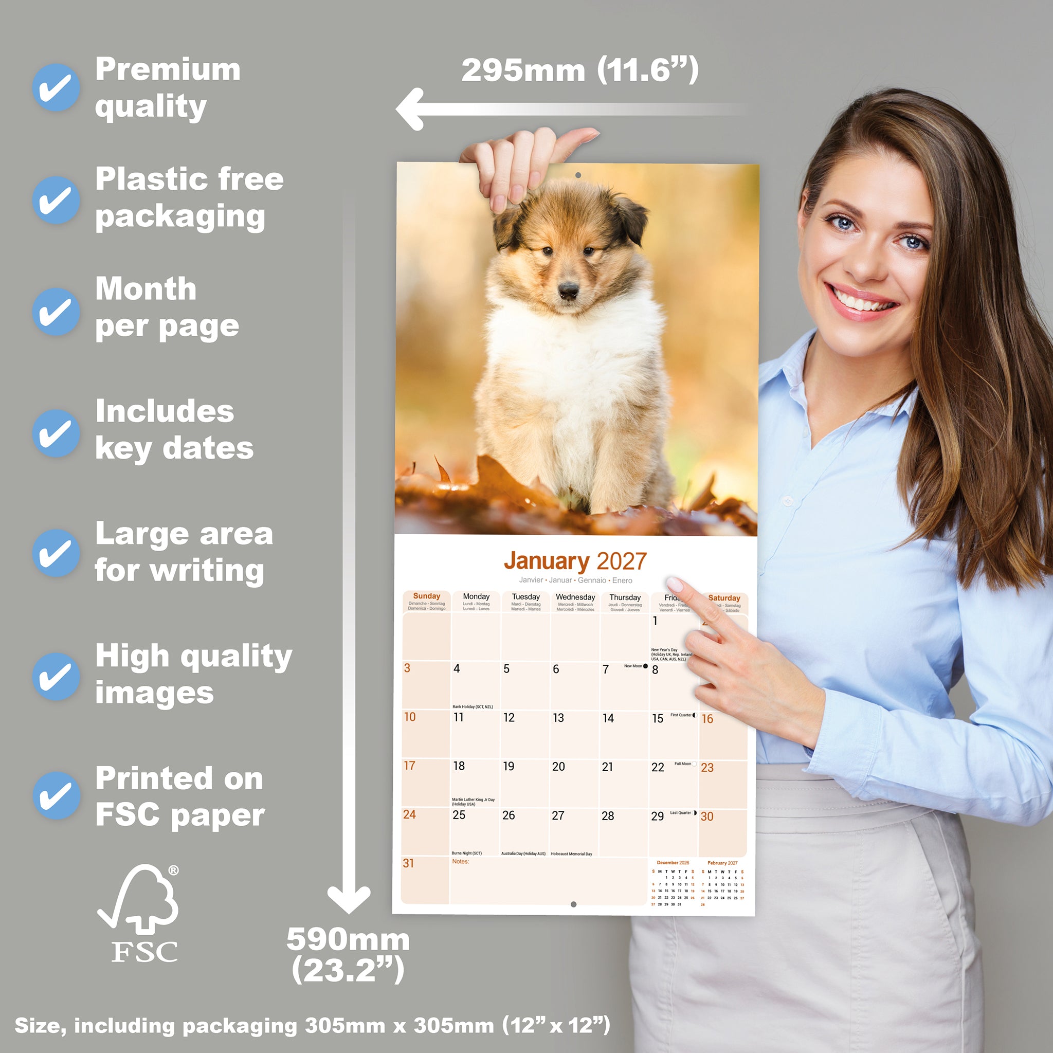 otter-house-collie-wandkalender-2027-hundekalender image 4