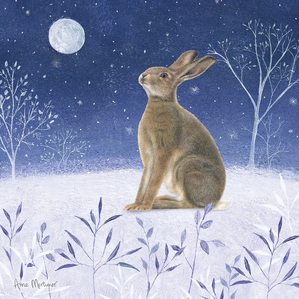 otter-house-midnight-hare-weihnachtskarten-charity-set image 1