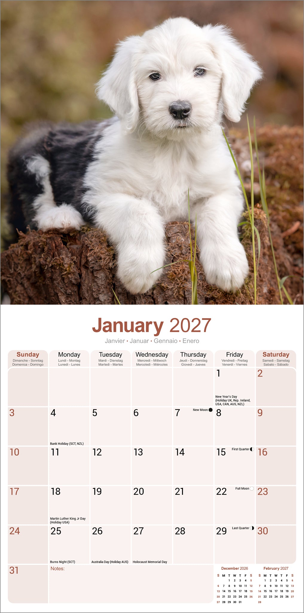 otter-house-calendars-old-english-sheepdog-wandkalender-2027-hunde image 2