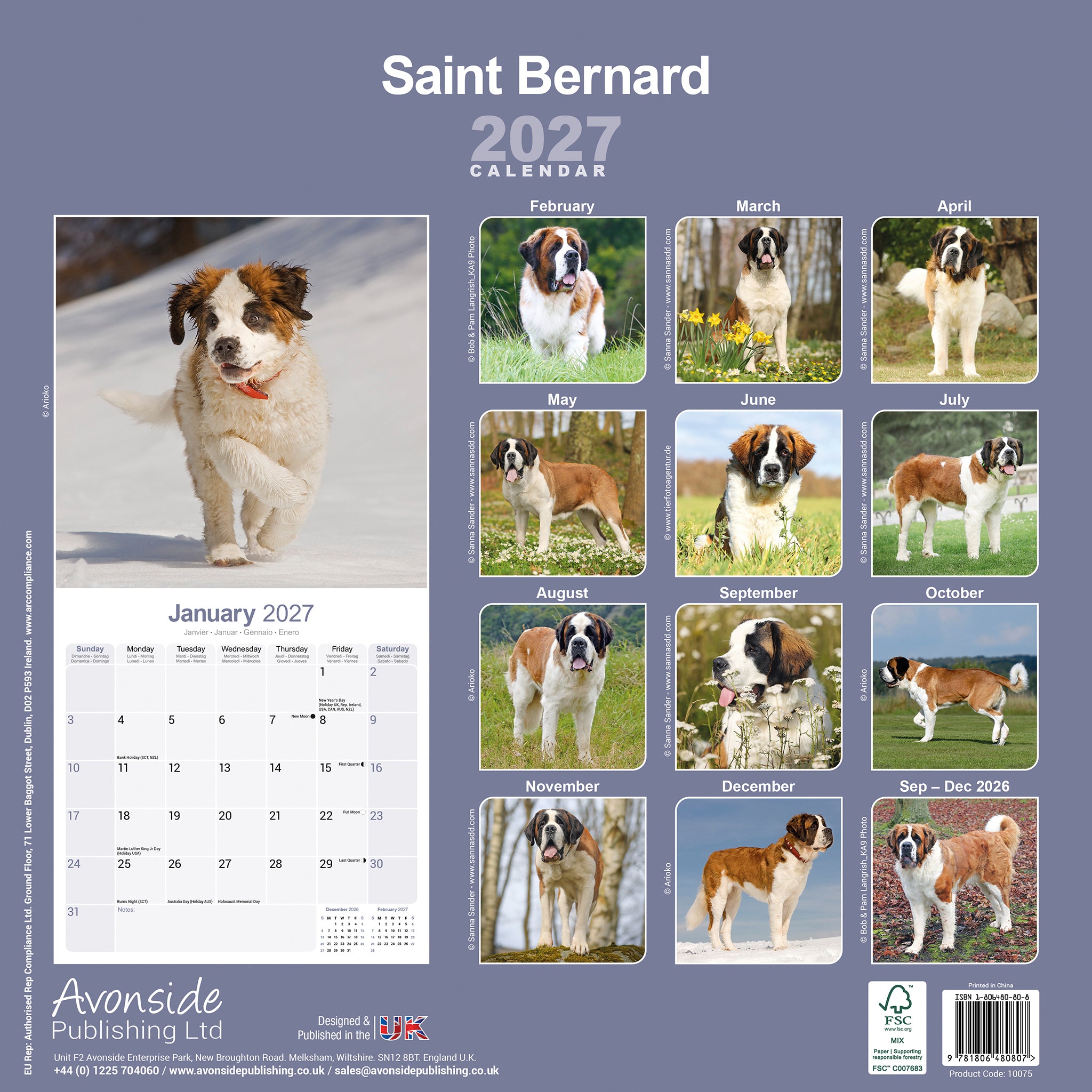 otter-house-saint-bernard-wandkalender-2027-hunde image 3