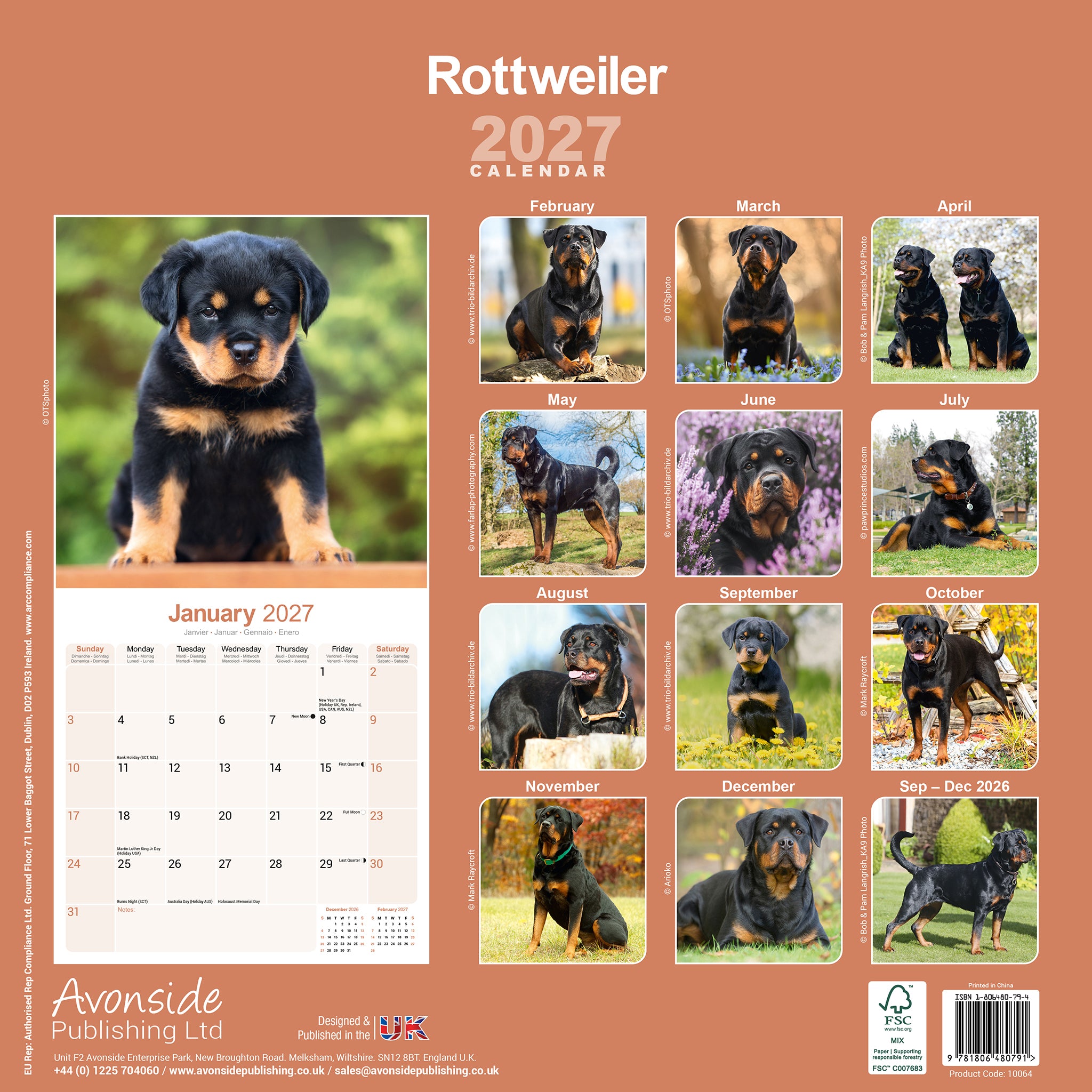 otter-house-rottweiler-wall-calendar-2027-hunde-wandkalender image 2
