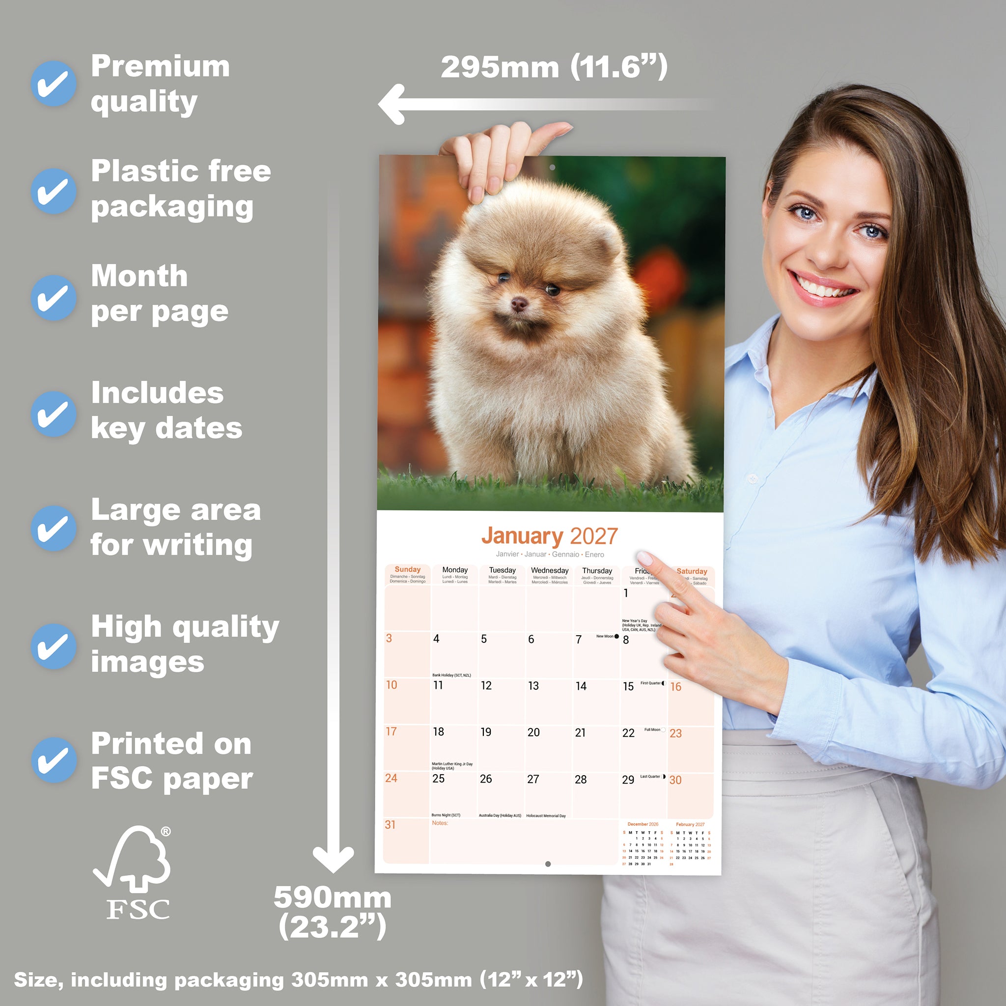otter-house-pomeranian-wandkalender-2027-hunde image 4