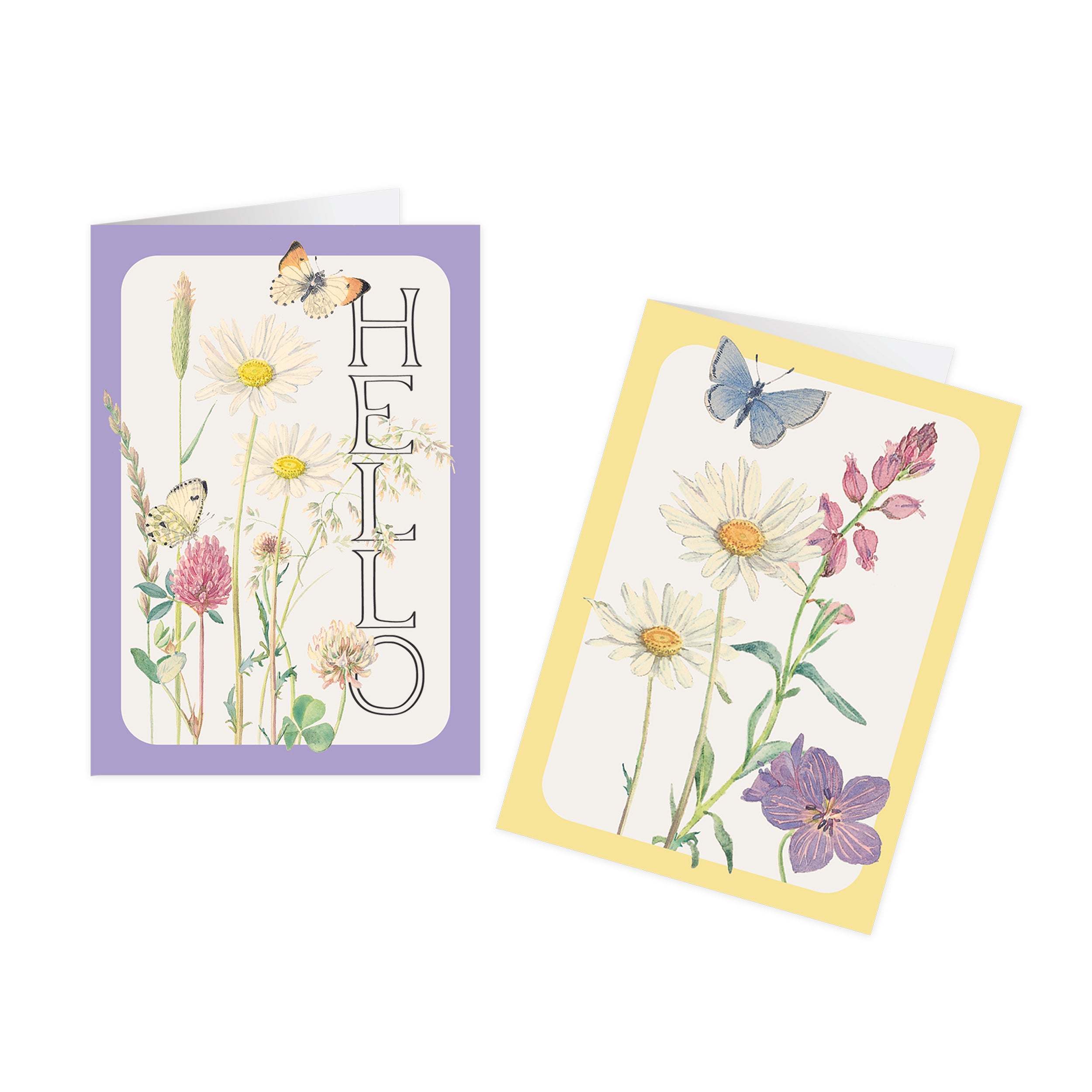 otter-house-edith-holden-notecards-12er-daisy-milkwort-a6 image 3