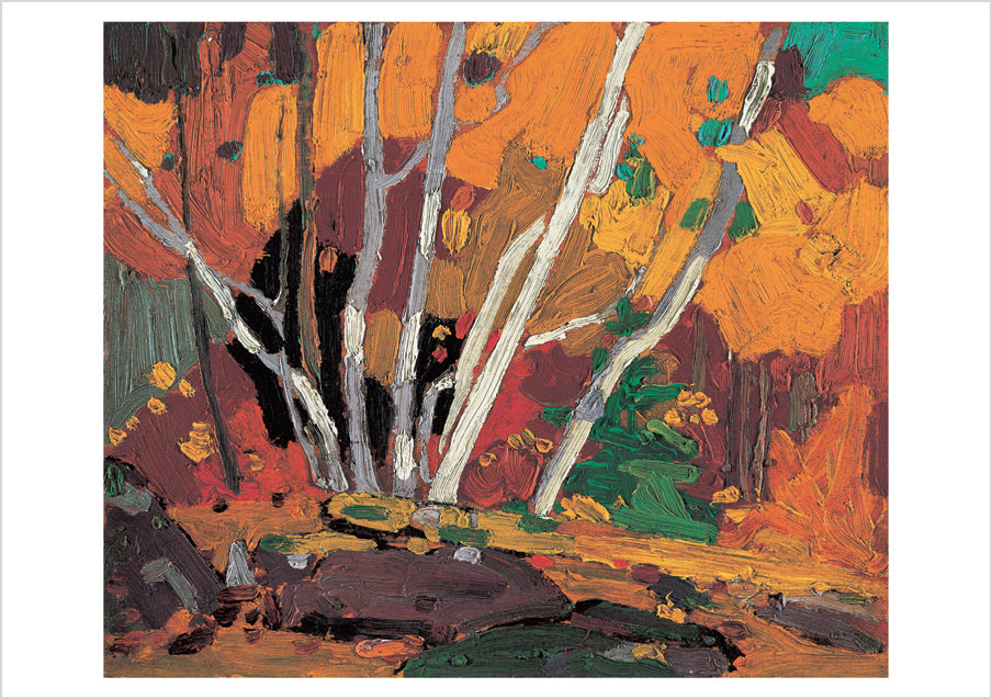 pomegranate-autumn-birches-postkarte-thomson image 1