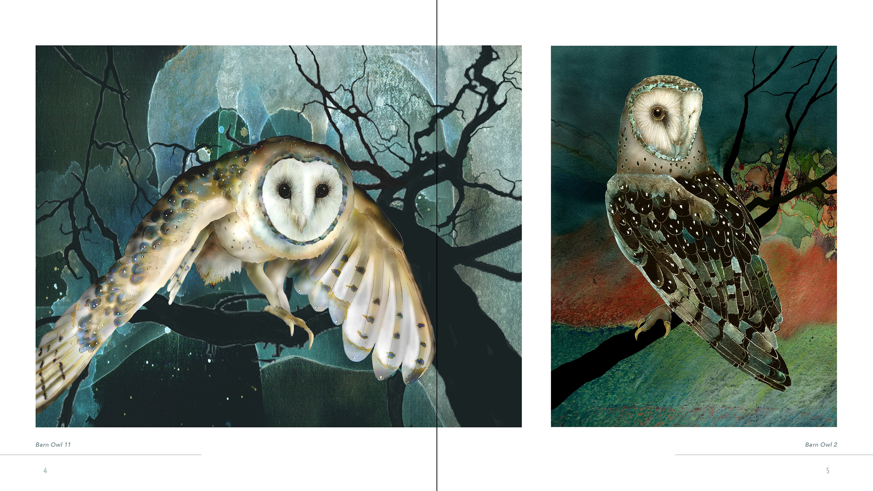pomegranate-trade-books-owls-jeannine-chappell-eulenbuch image 3