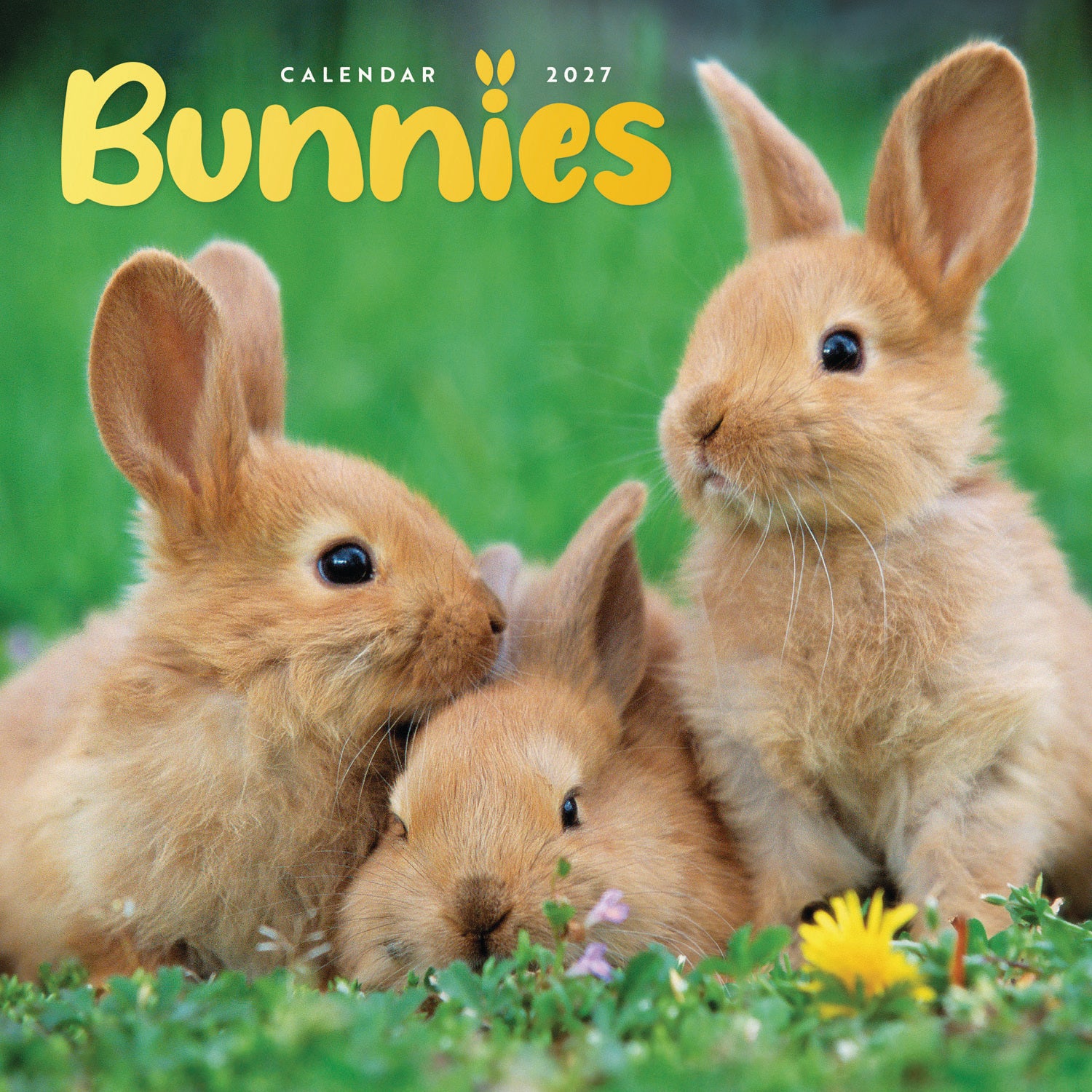 otter-house-bunnies-mini-kalender-2027-wandkalender image 1