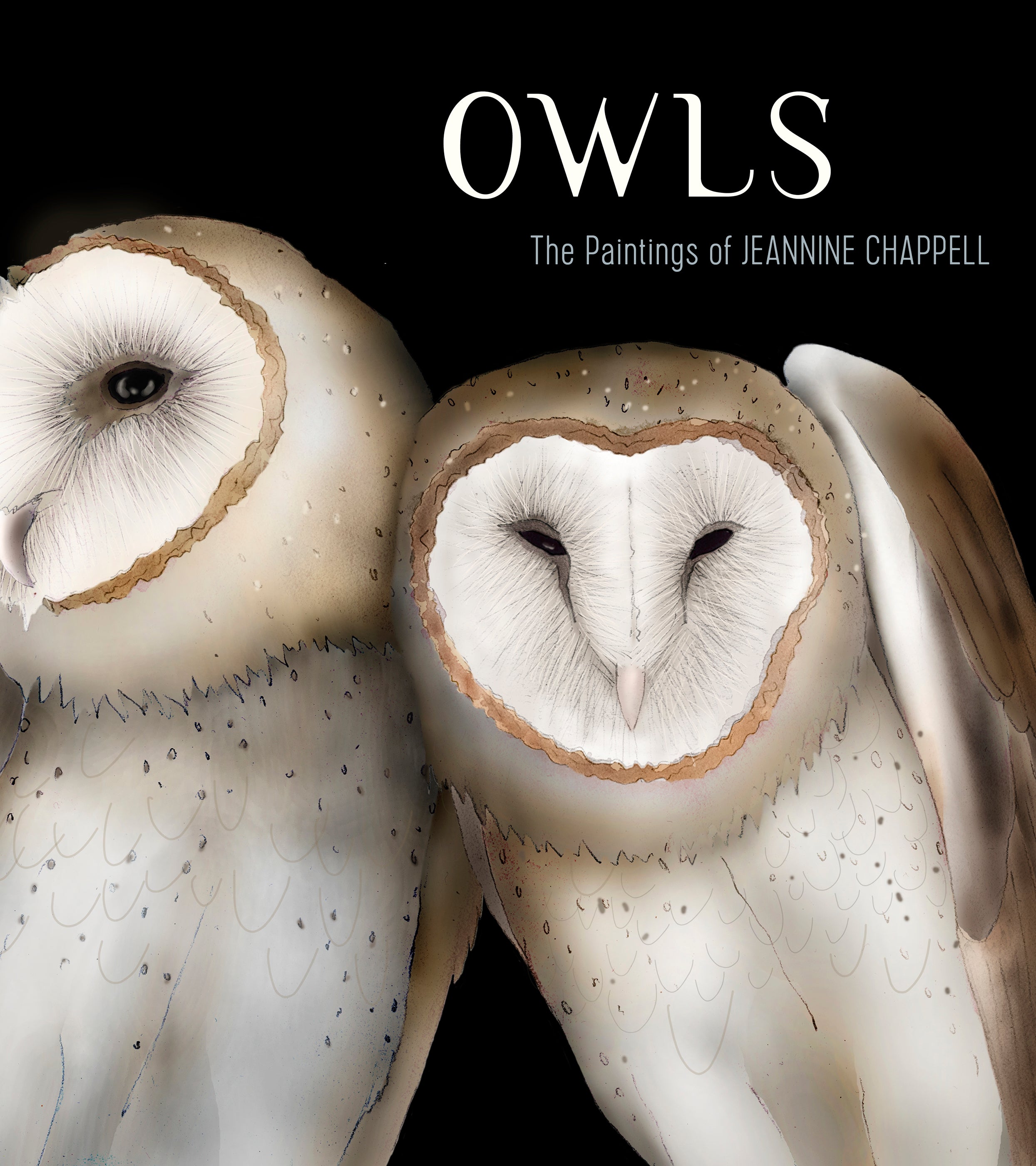 pomegranate-trade-books-owls-jeannine-chappell-eulenbuch image 1