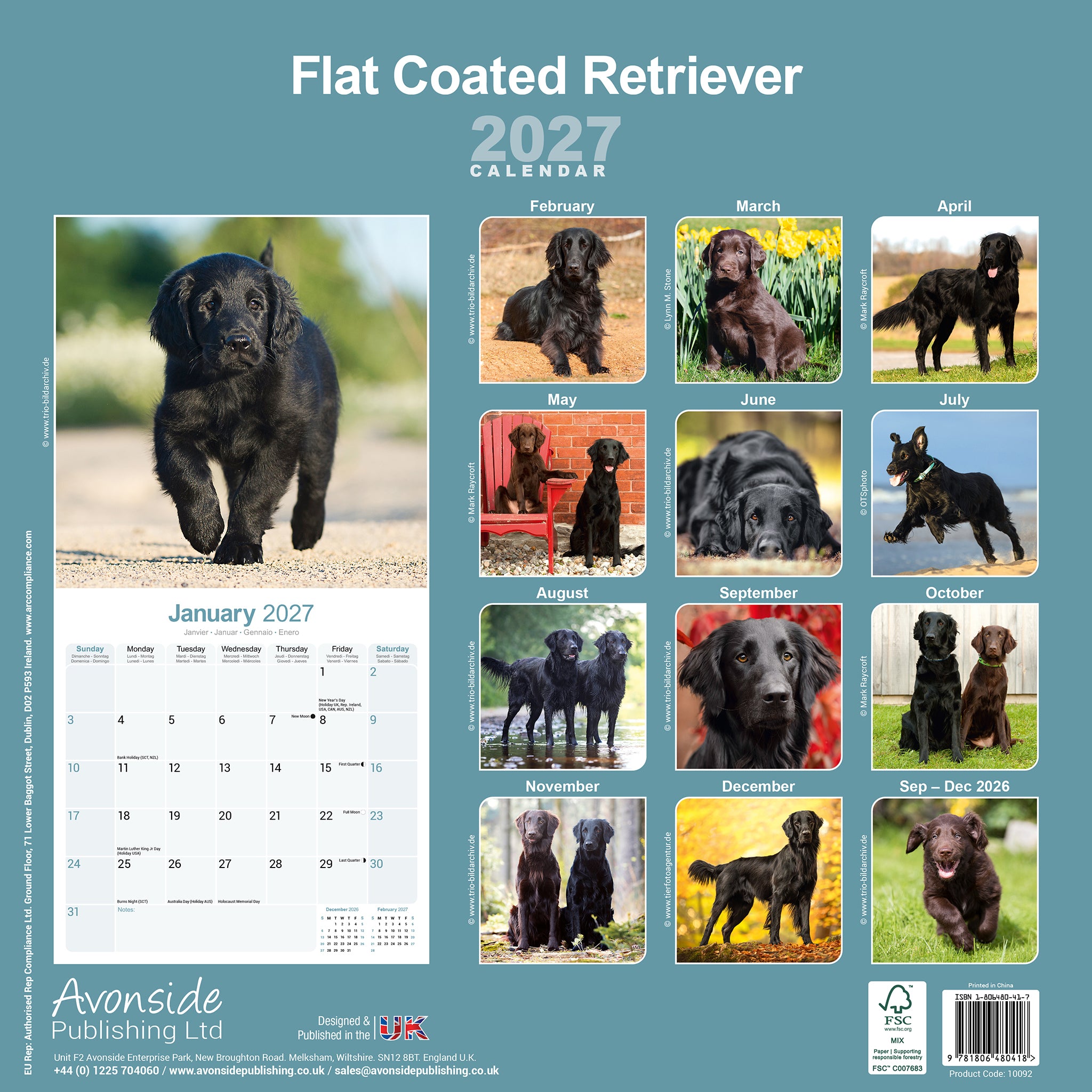 otter-house-flat-coated-retriever-wandkalender-2027-hund image 2